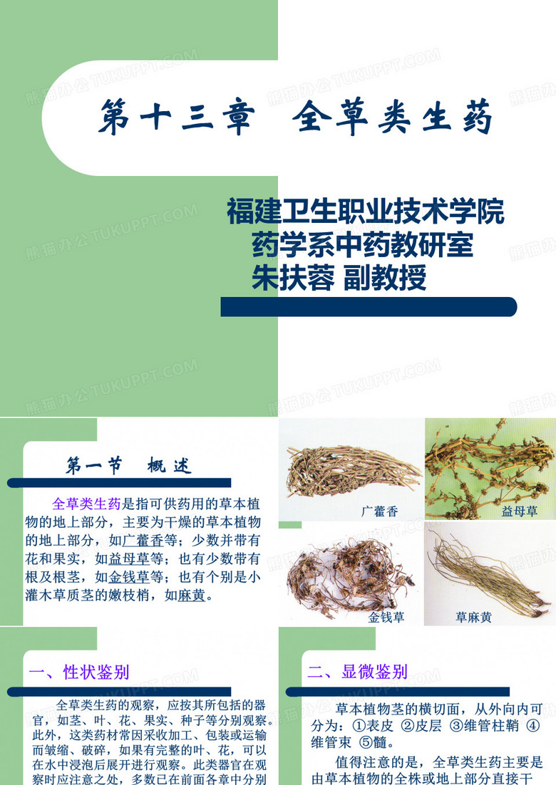 麻黄