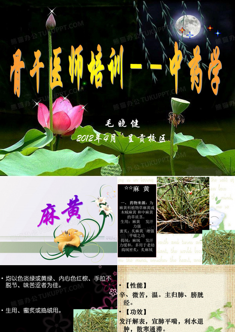 麻黄