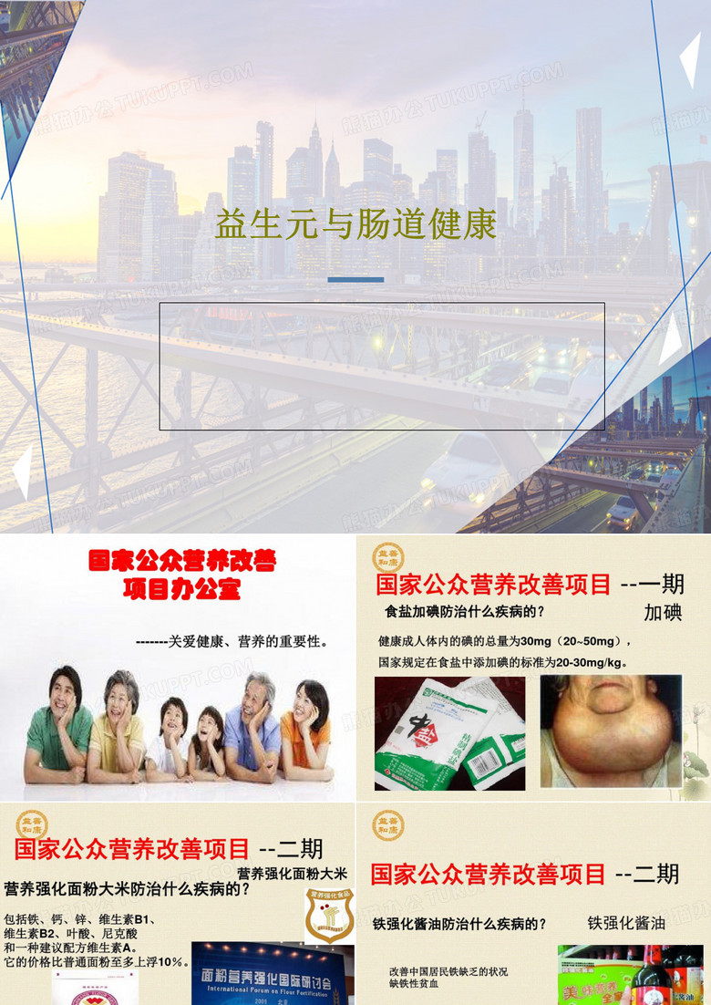 益生元与肠道健康共60页