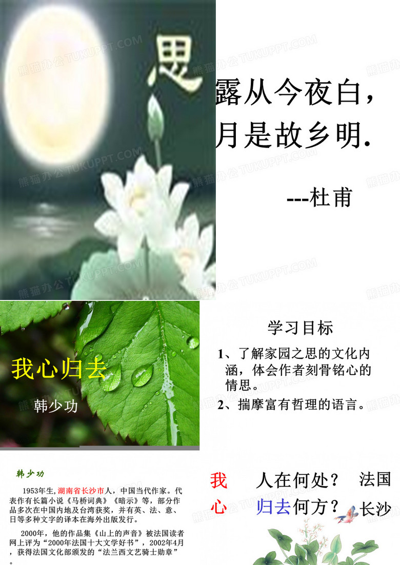 我心归去