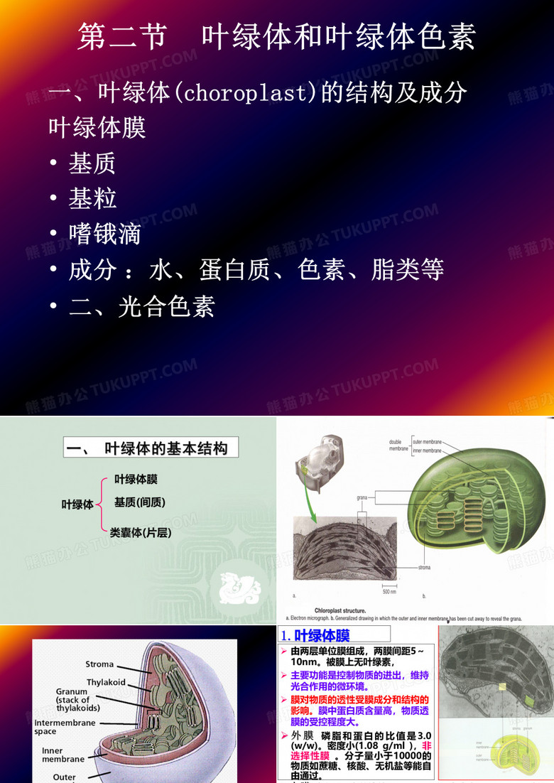 叶绿体和叶绿体色素