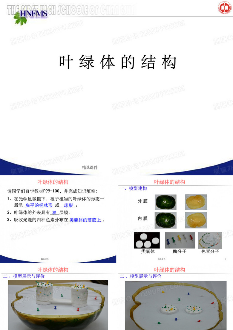 《叶绿体的结构》