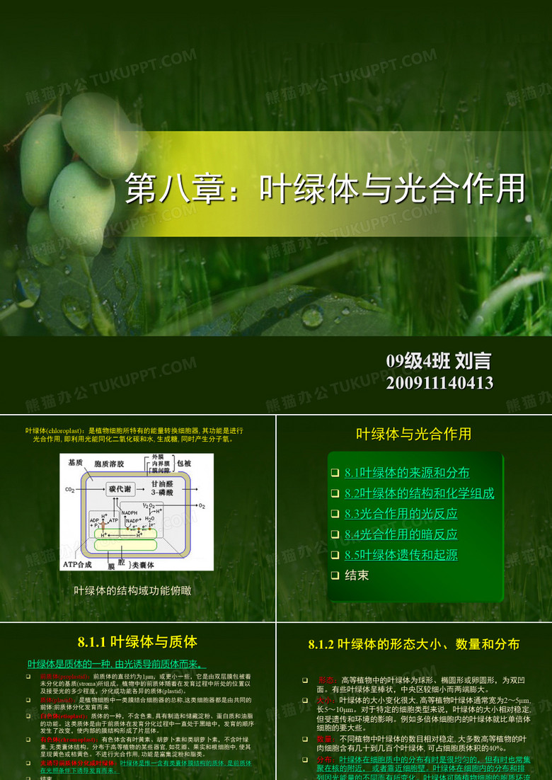 第八章：叶绿体与