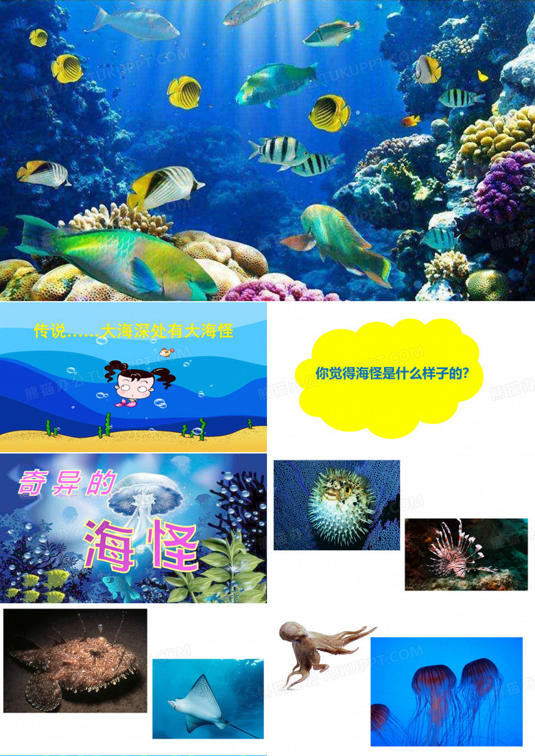 10.奇异的“海怪”