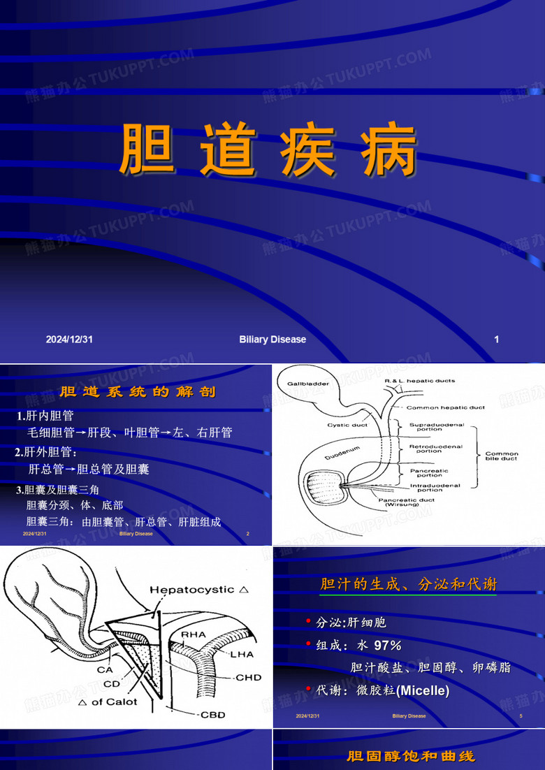 胆道疾病课件