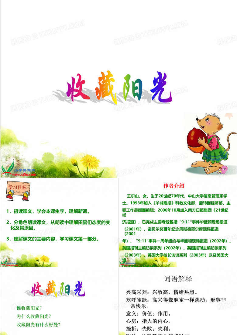 收藏阳光