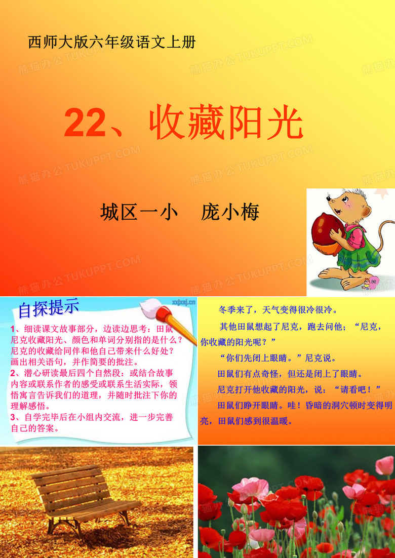 收藏阳光