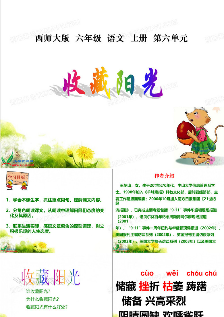 收藏阳光