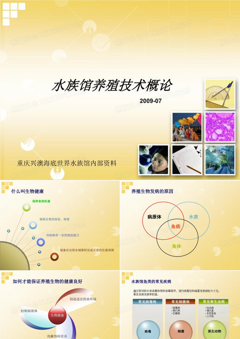 水族馆鱼类养殖概论