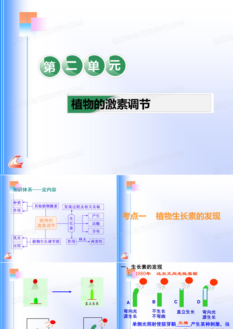 植物的激素调节整理