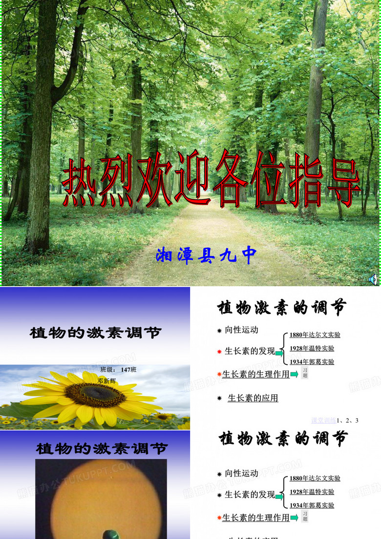 植物的激素调节复习