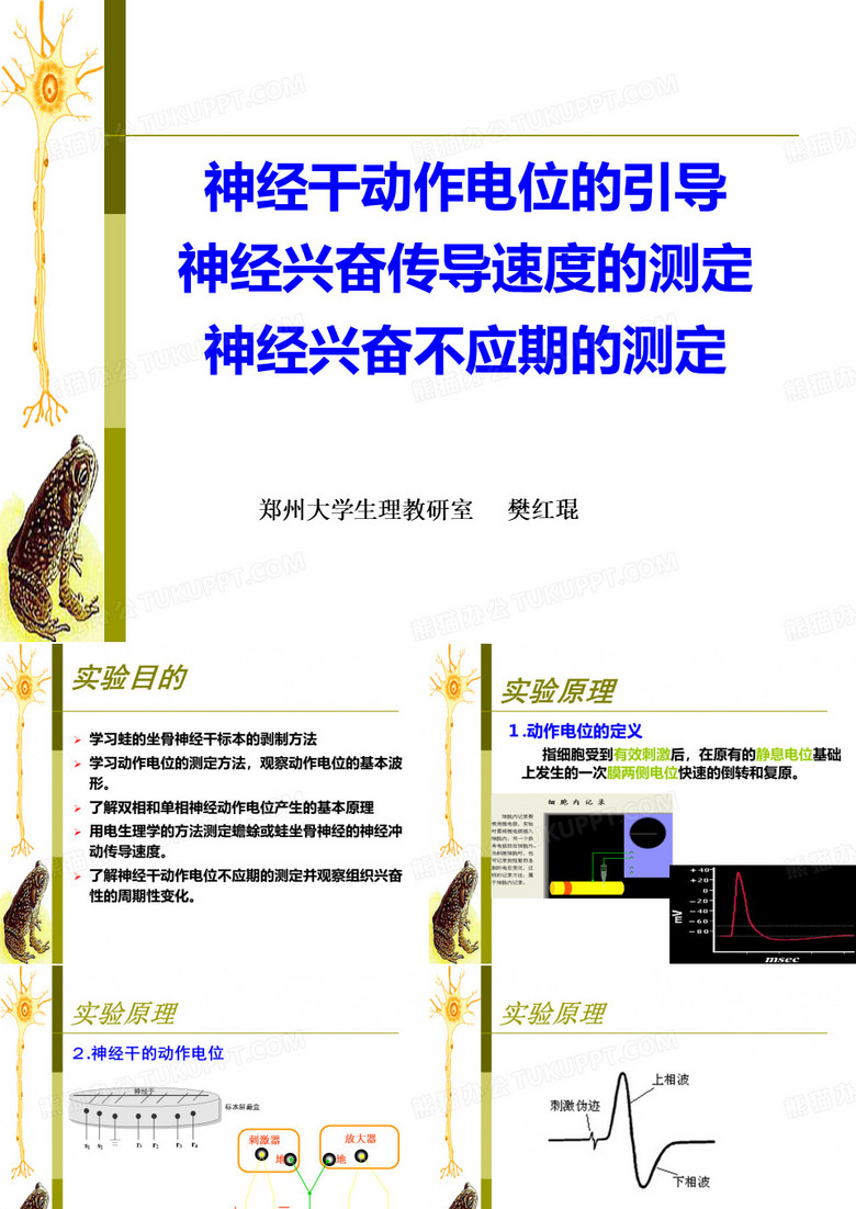 动作电位