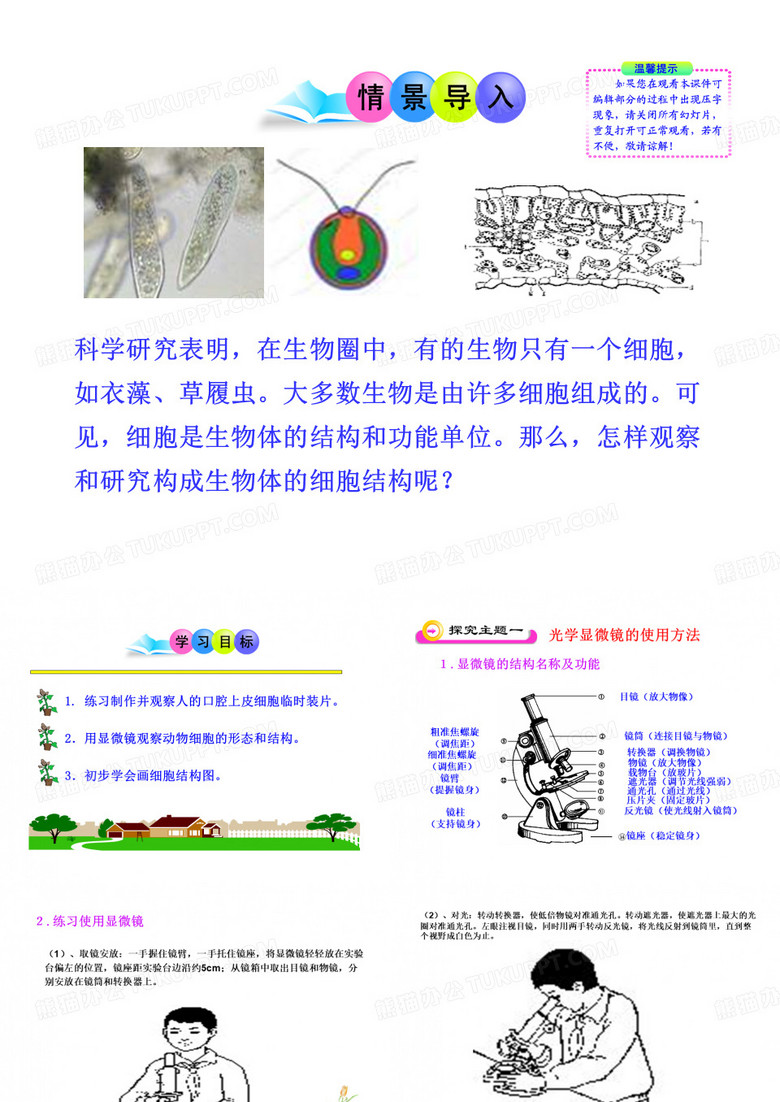 细胞壁细胞膜