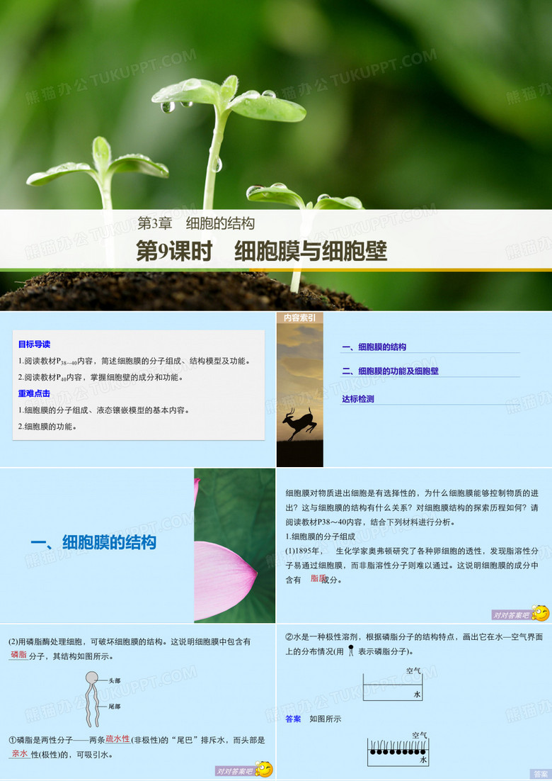 版： 细胞膜与细胞壁