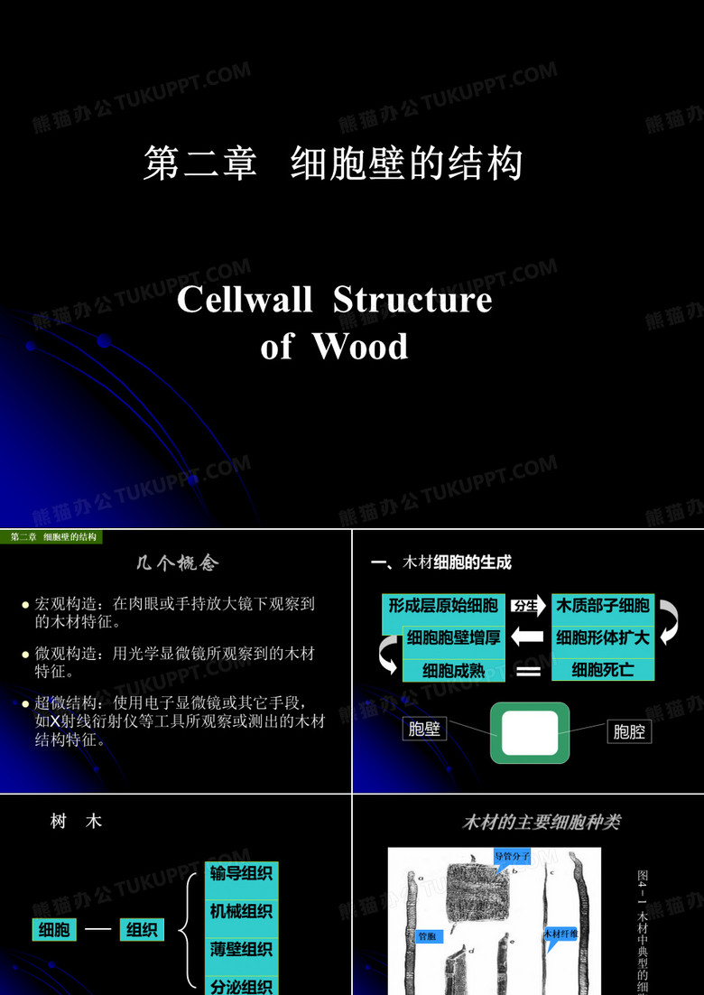 2细胞壁的结构