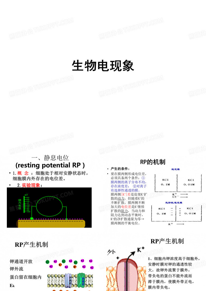 生物电现象