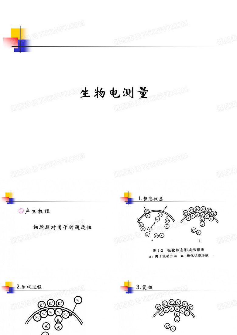 生物电测量