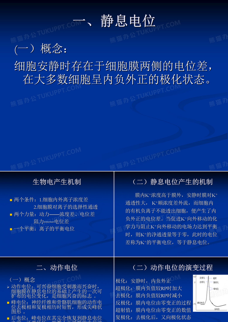 细胞生物电
