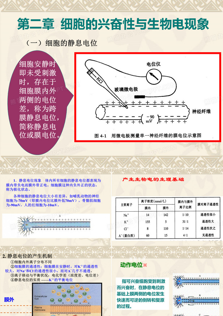 神经细胞的生物电