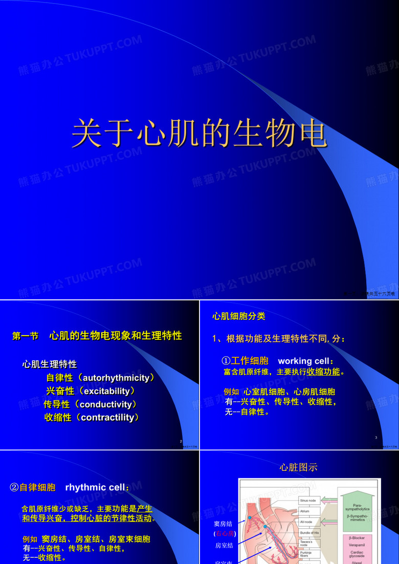 心肌的生物电