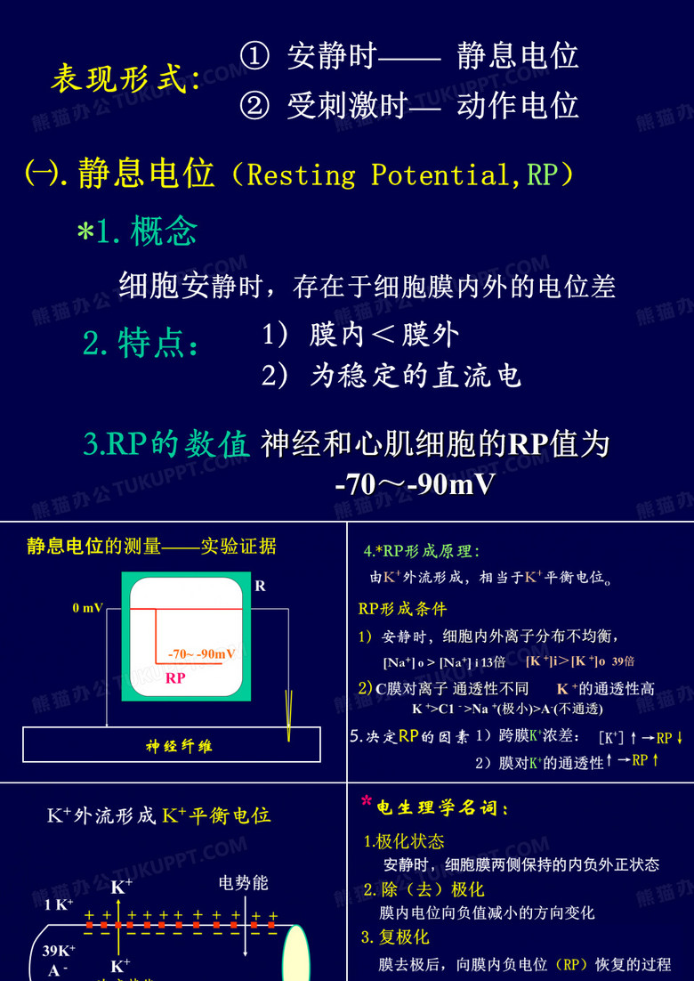 细胞的生物电现象
