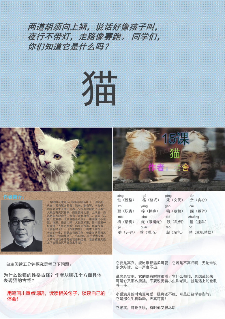 四年级 第四组15课猫