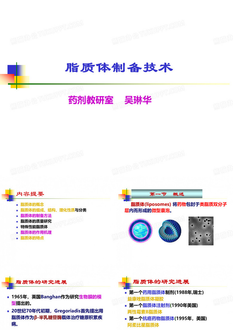 脂质体