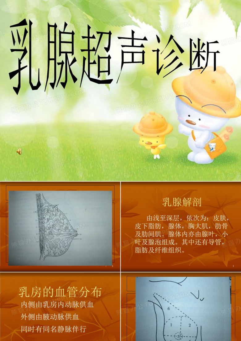 乳腺超声诊断