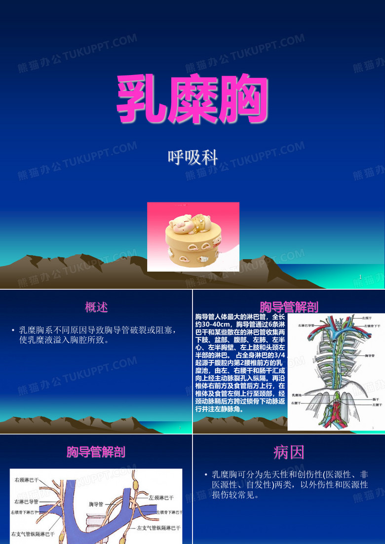 乳糜胸PPT课件