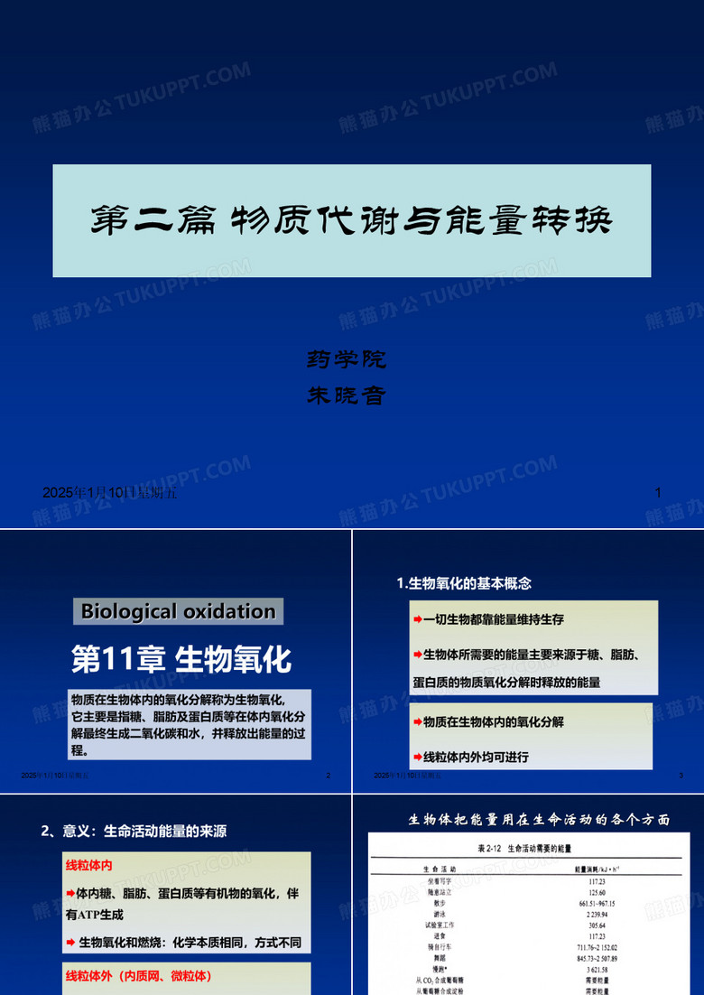7生物氧化