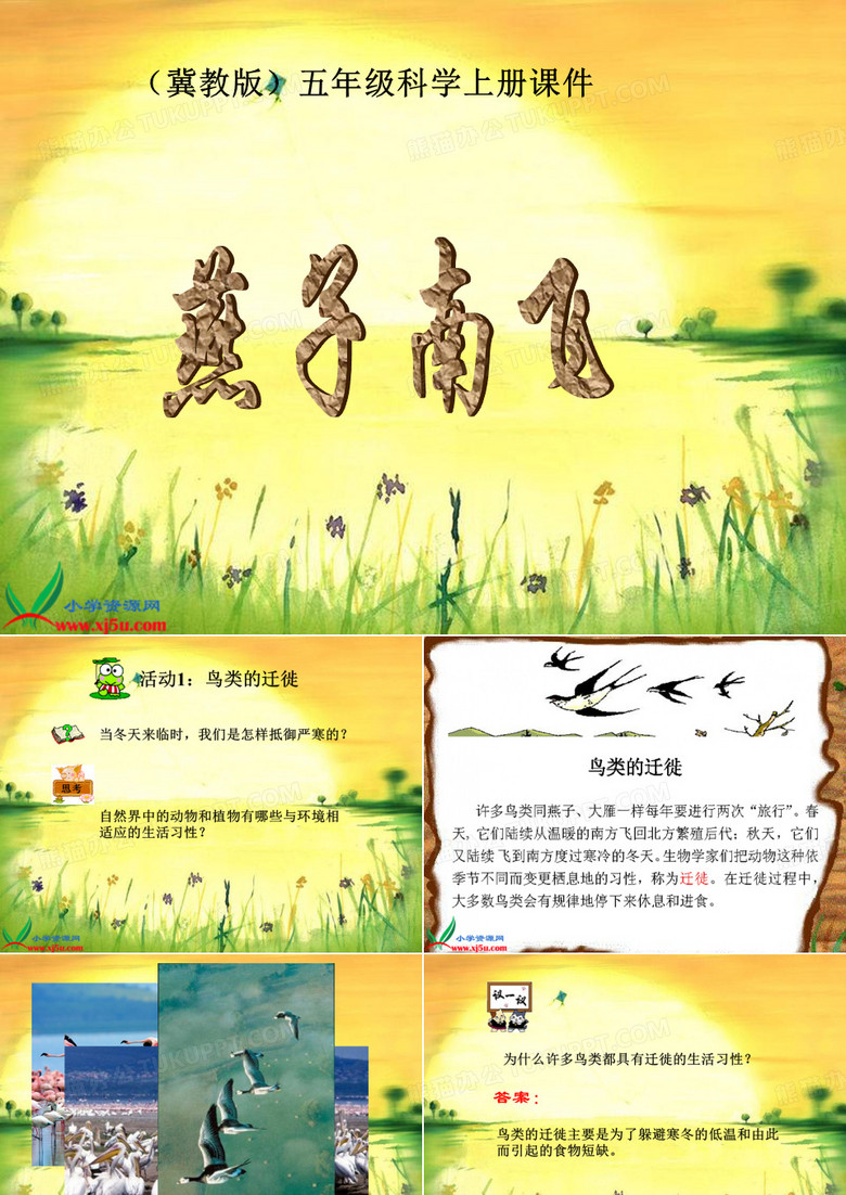 燕子南飞PPT课件
