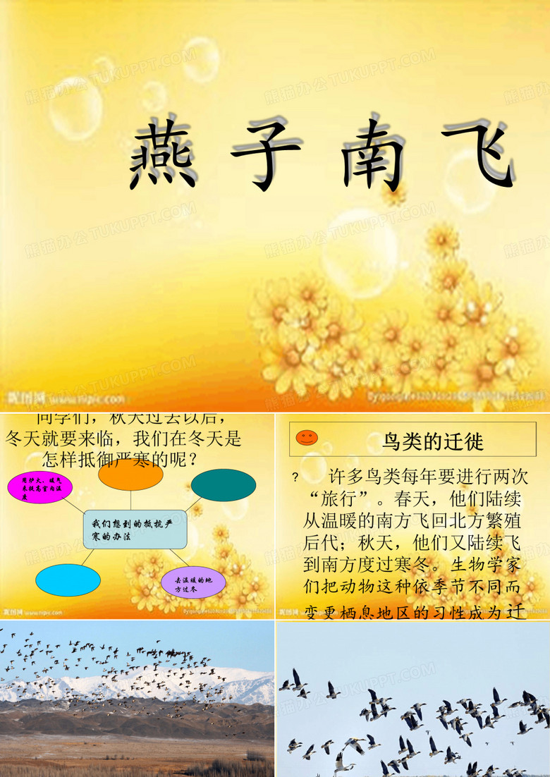 五年级上册科学燕子南飞
