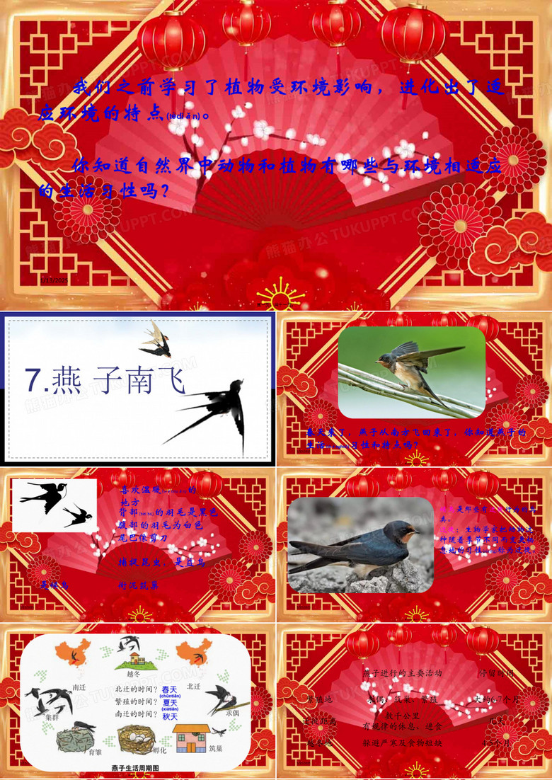 三年级科学 第2单元《动植物对环境的适应》7 燕子南飞小学三年级自然科学