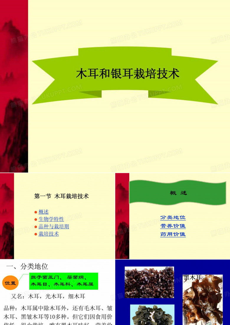 黑木耳和银耳栽培