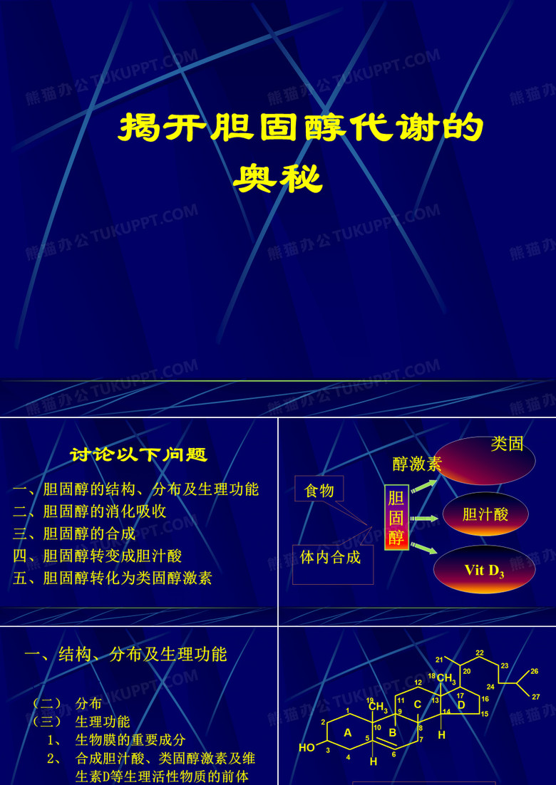 胆固醇代谢