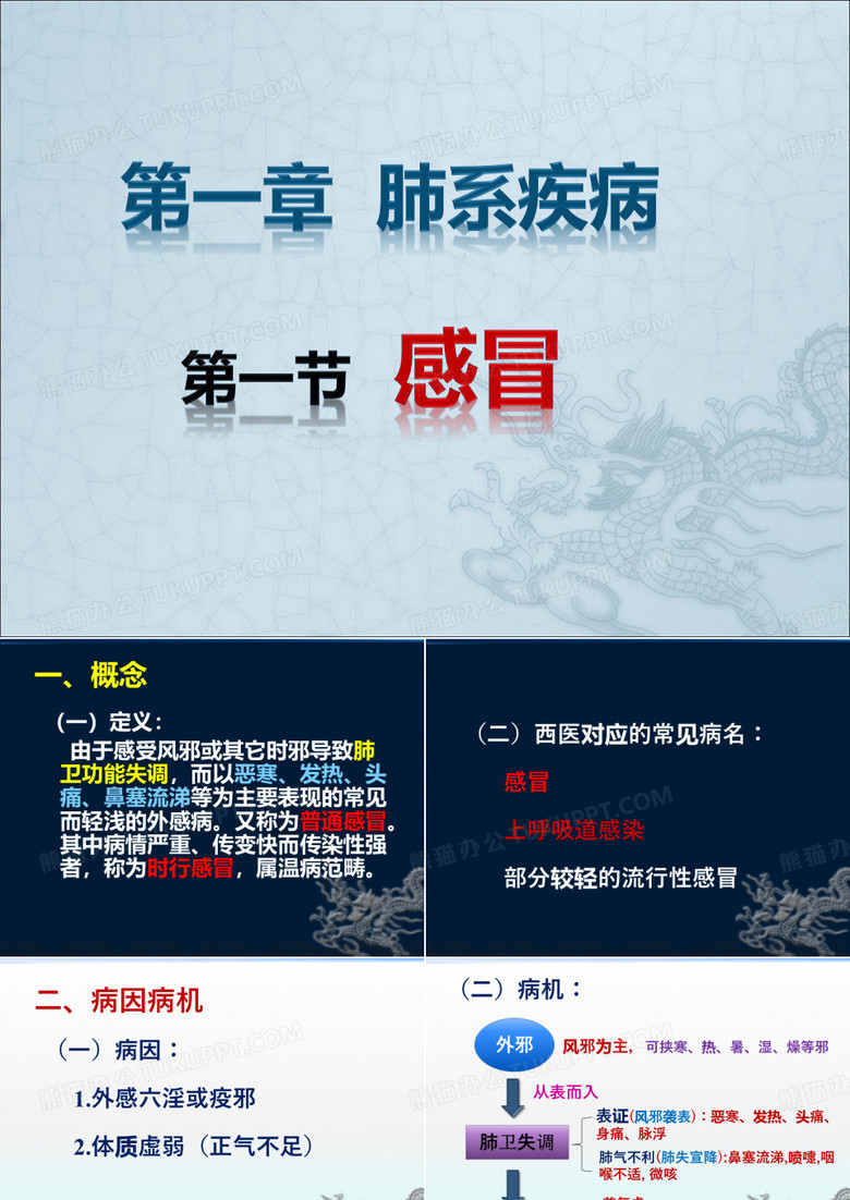中医内科学-肺系疾病
