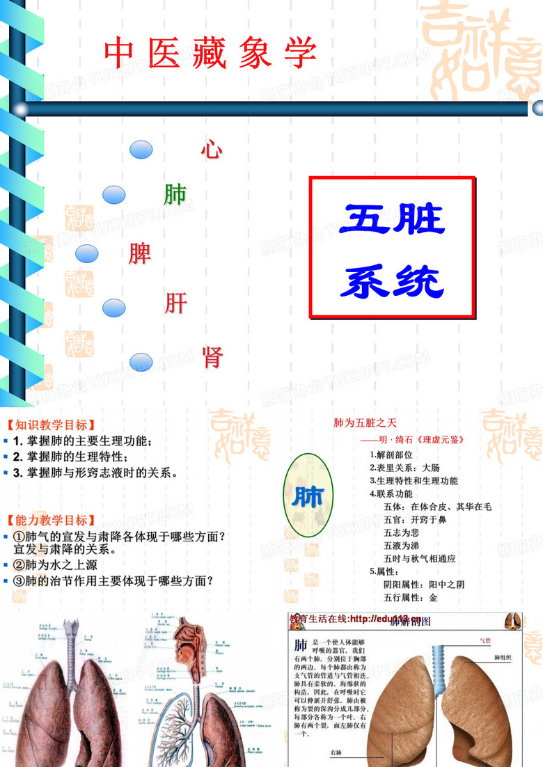 6中医基础理论藏象-肺