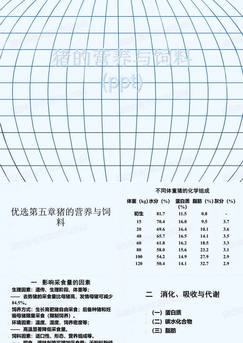 猪的营养与饲料(ppt)