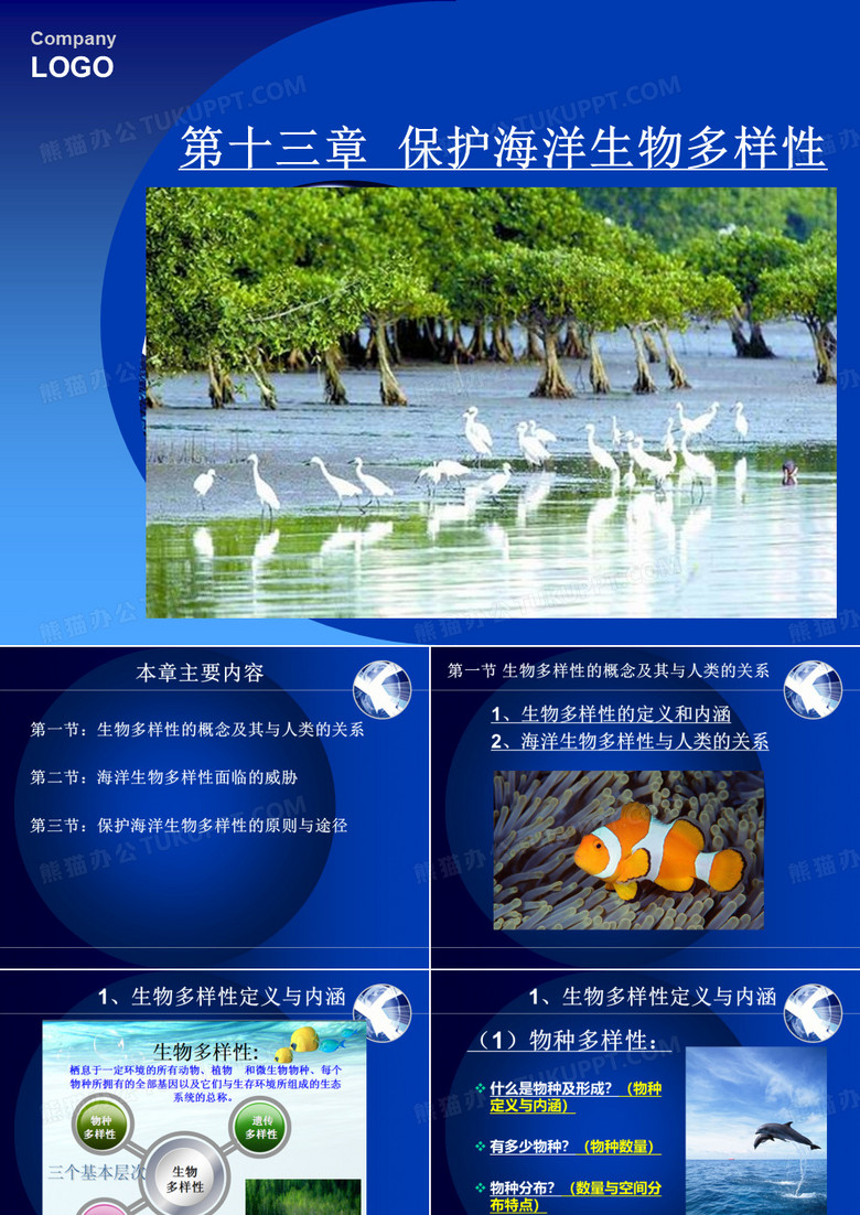 保护海洋生物多样性讲义-李伟