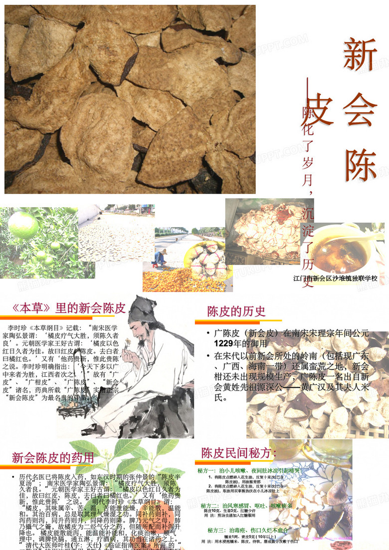 《新会陈皮》PPT课件