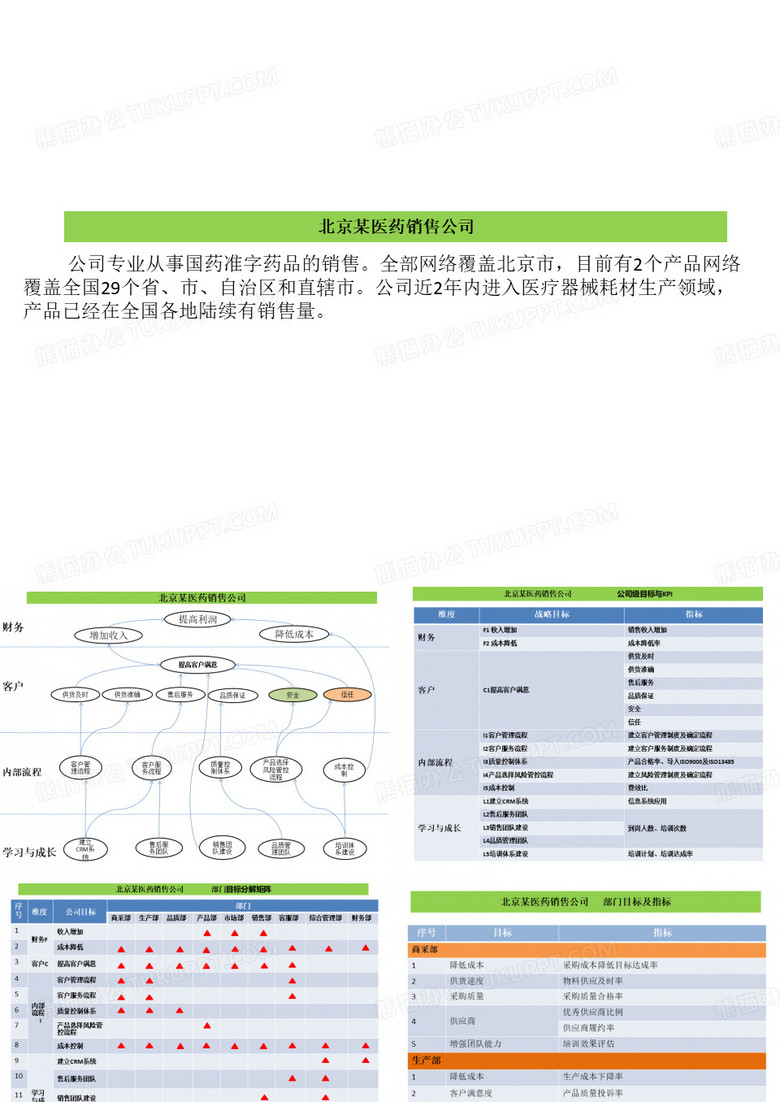 北京某医药销售公司- 蝶变队战略地图