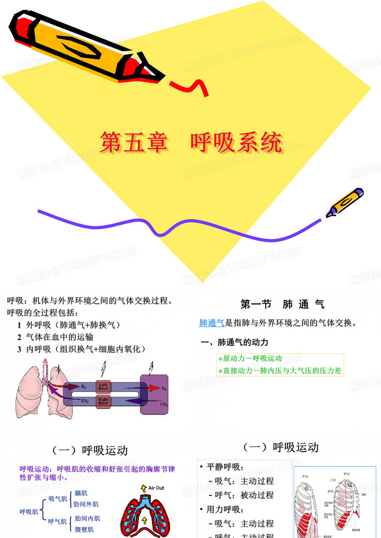 生理呼吸