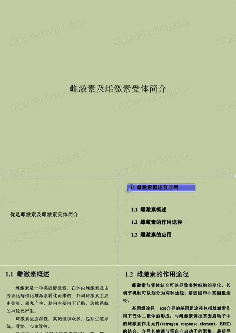 雌激素及雌激素受体简介