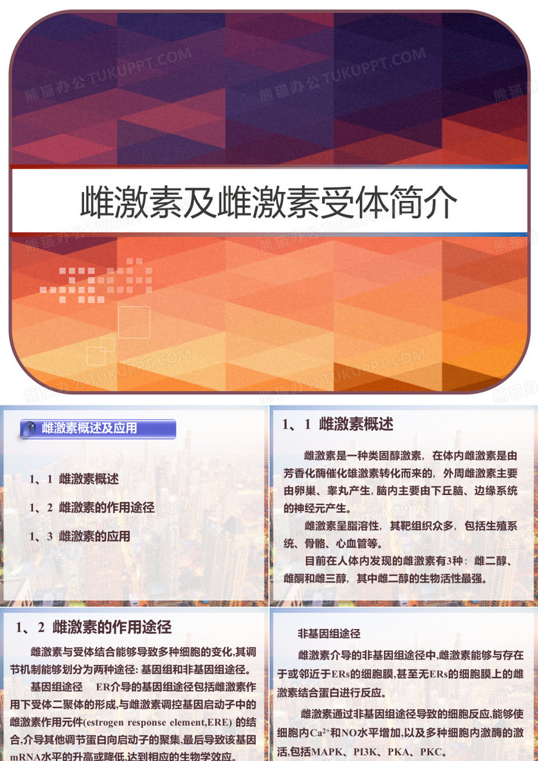 雌激素及雌激素受体简介 PPT