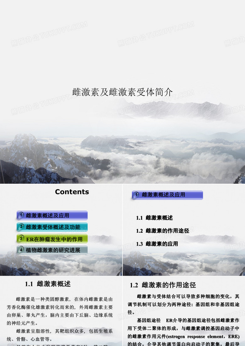 雌激素及雌激素受体简介讲课文档