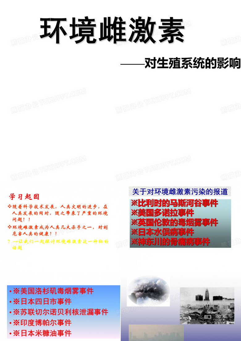 环境雌激素