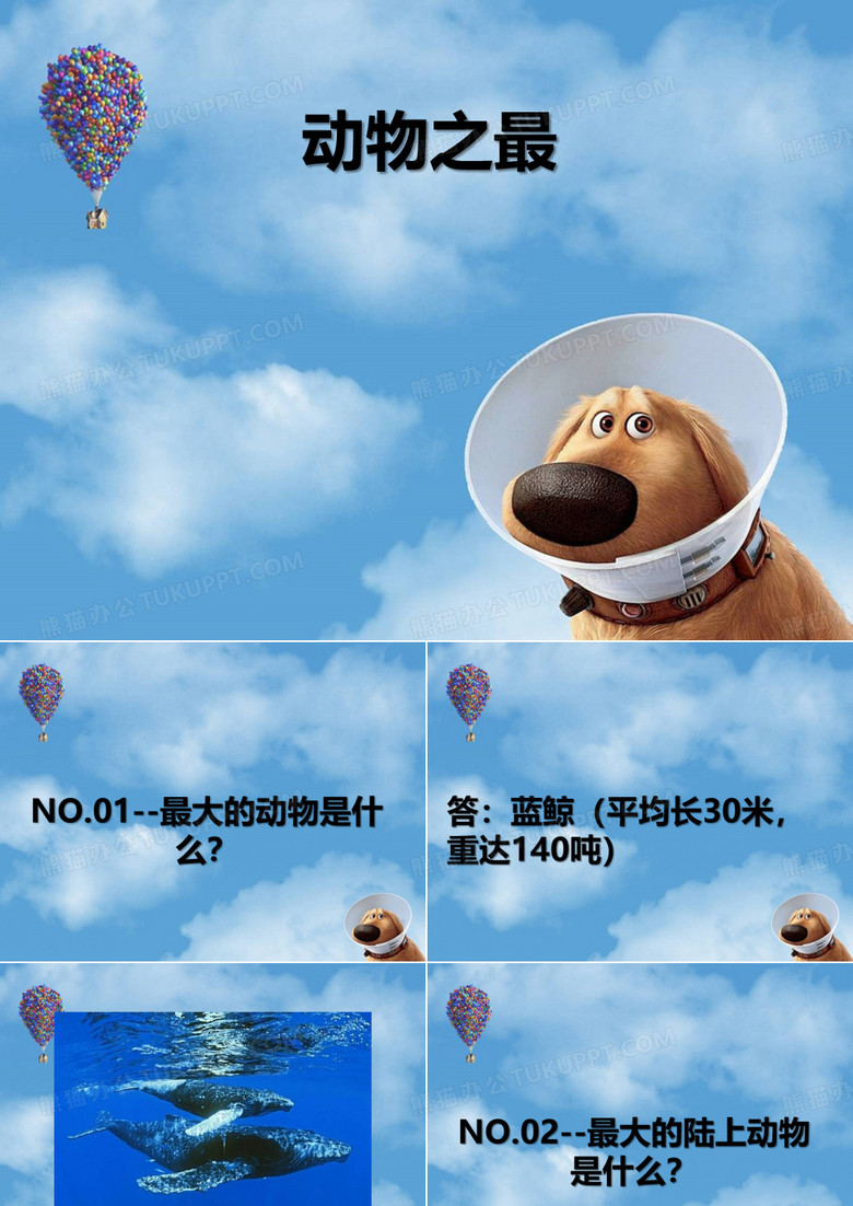 动物之最