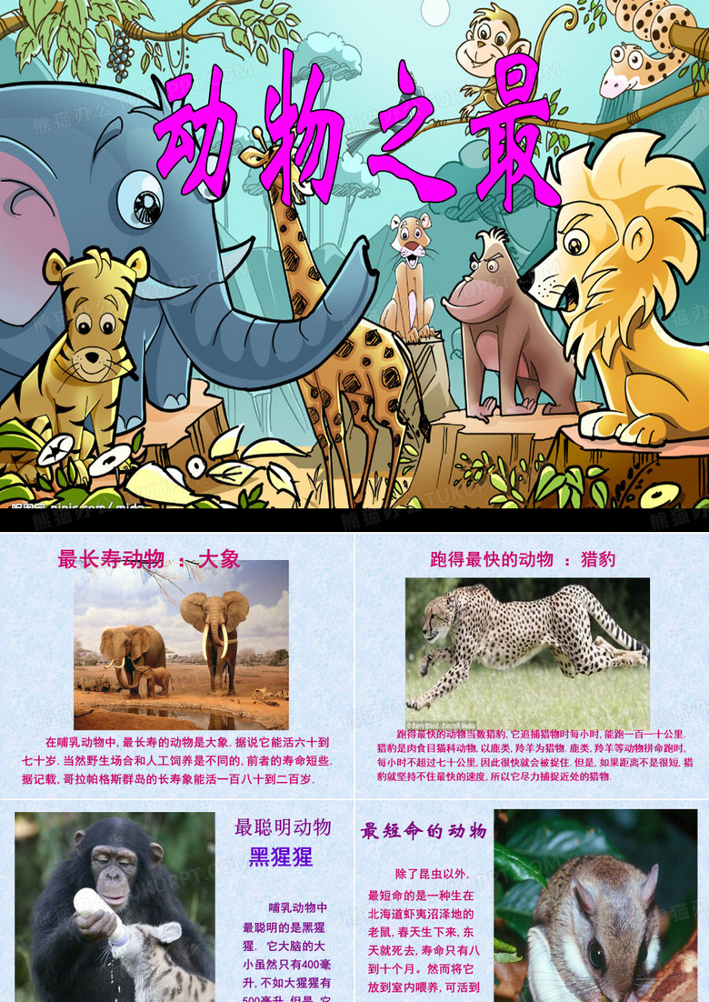 世界动物之最