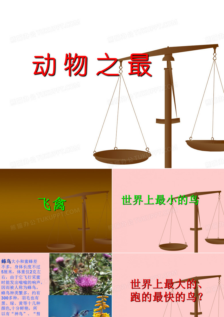 动物之最大全