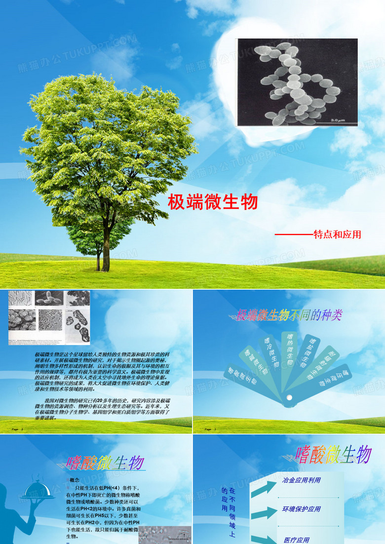 极端微生物